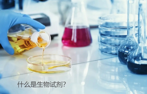 什么是生物試劑（Biochemical reagent）最全生物試劑介紹！