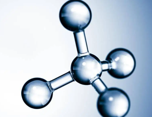 細胞組織器官系統的排序_細胞組織排序