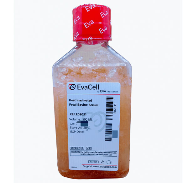 熱滅活胎牛血清_abio生物試劑細胞品牌網