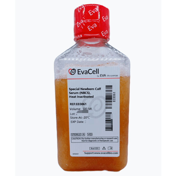 熱滅活新生牛血清_abio生物試劑細胞品牌網